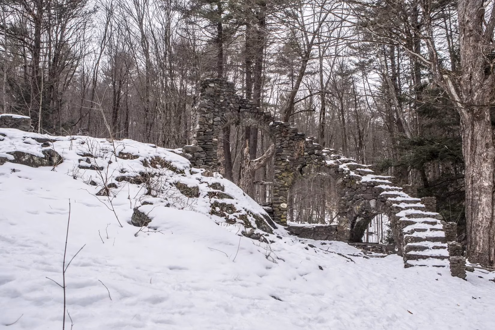 my-spine-tingling-adventure-through-madame-sherri-s-haunted-forest-ruins-image-0