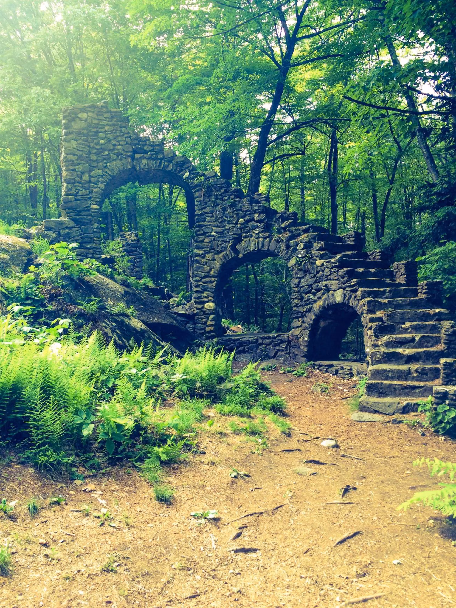 my-spine-tingling-adventure-through-madame-sherri-s-haunted-forest-ruins-image-1