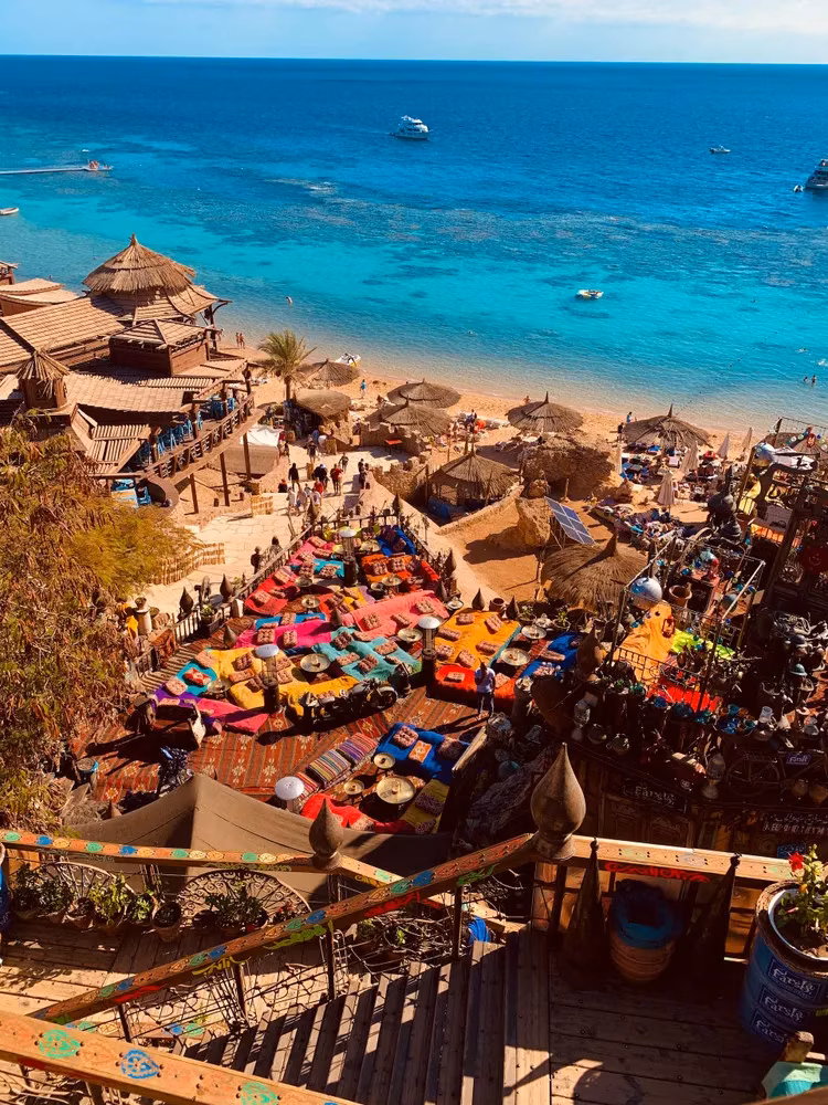 pharaoh-s-island-a-crusader-mystery-in-the-red-sea-image-3