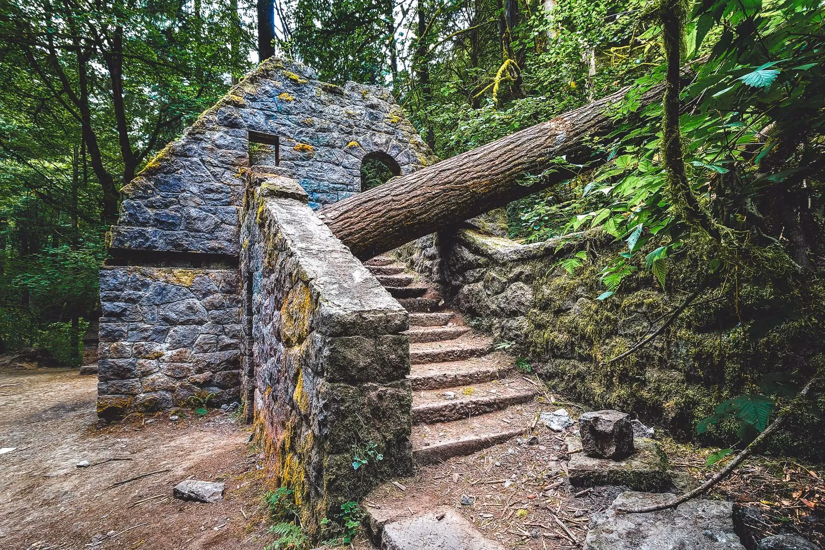 portland-s-witch-s-castle-a-spooky-destination-with-a-dark-history-image-1